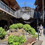Ole Smoky Moonshine