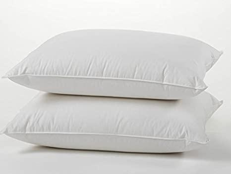 Dream Solutions USA 100% Hungarian White Goose Down Pillow, Luxury 700 Fill Power King Size (Pack of 2)