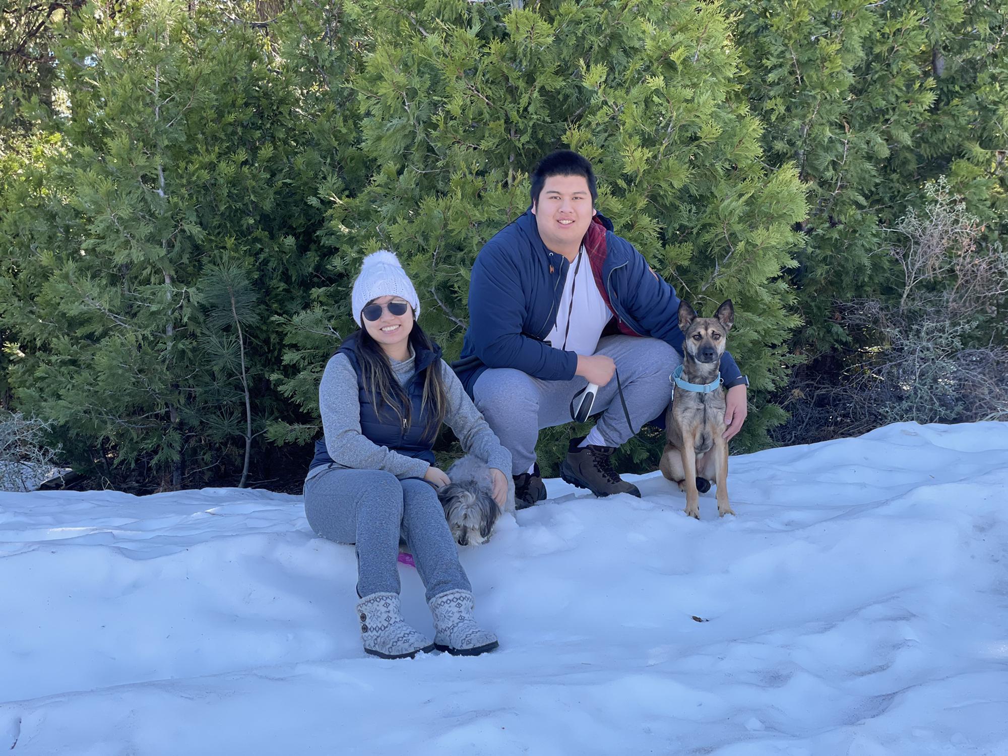 Took our dogs, Coco & Foxy to see snow for the first time ❄️