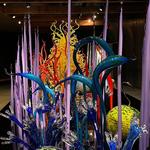 Chihuly Collection
