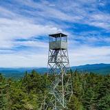 Healdville Trail