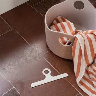 Kapi Shower Squeegee with Hanger