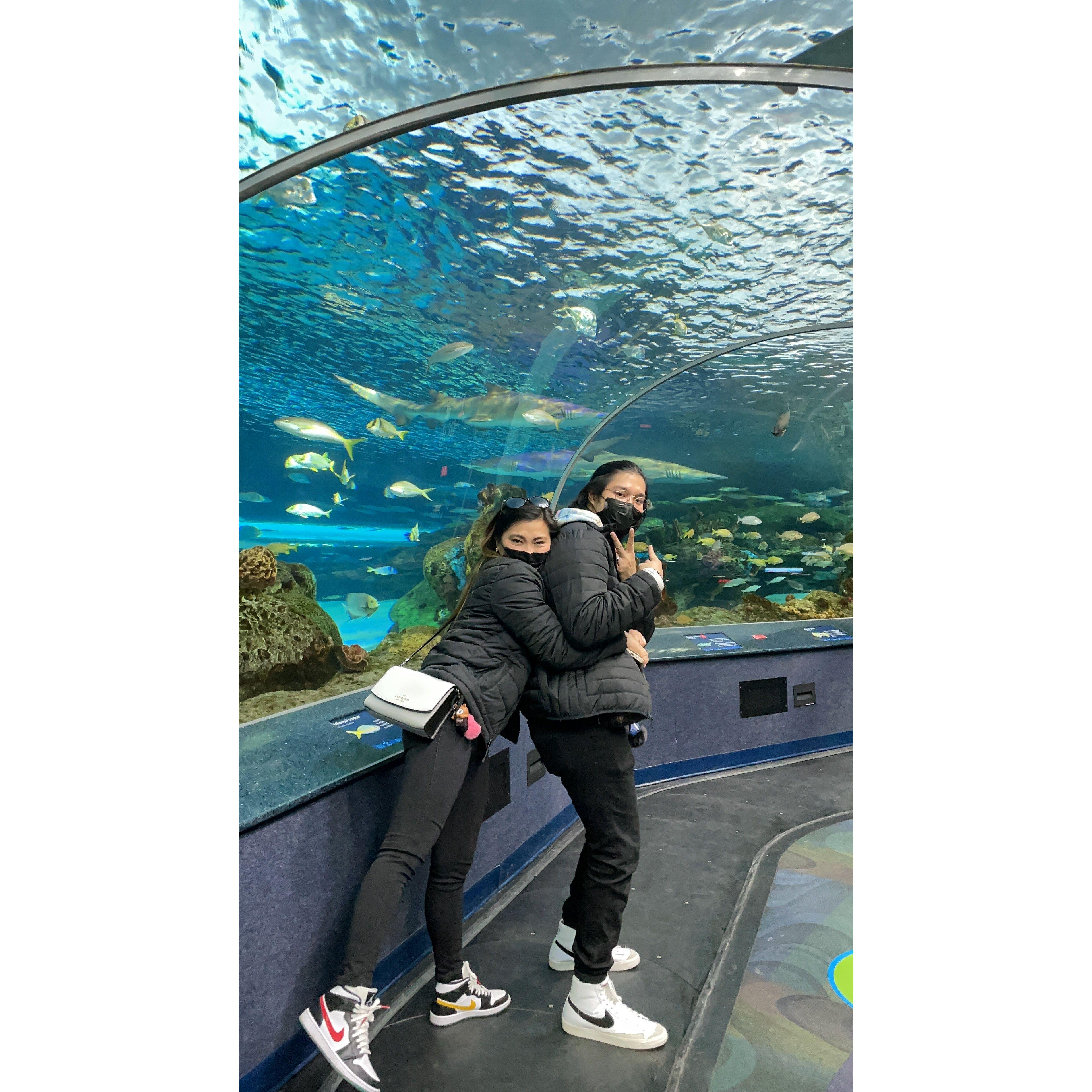 Ripley's Aquarium