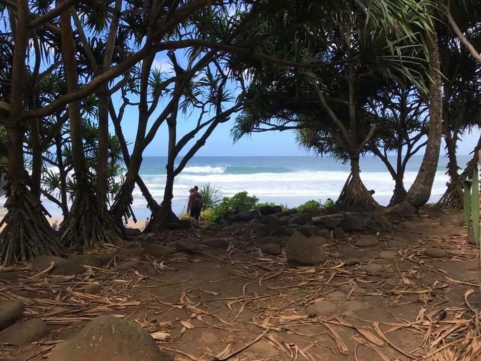Where the proposal took place! Kalalau Falls Trail in Kauai, Hawaii. This is the beach we hiked to - Hanakapiai Beach.