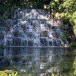 Duke Farms