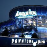 Downtown Aquarium