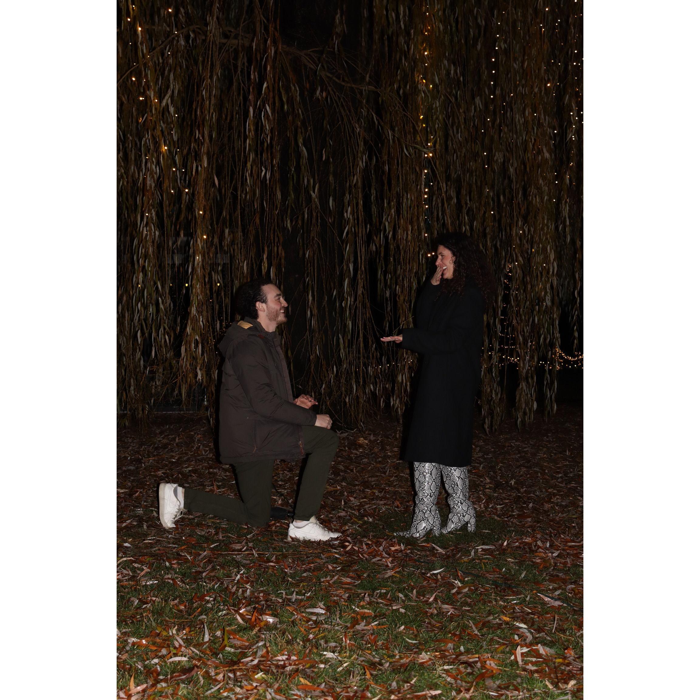 Engaged!! At the Ford House winter lights. We had the most amazing dinner before and celebrated after with our friends and family!