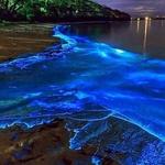 Bahía Bioluminiscente de La Parguera
