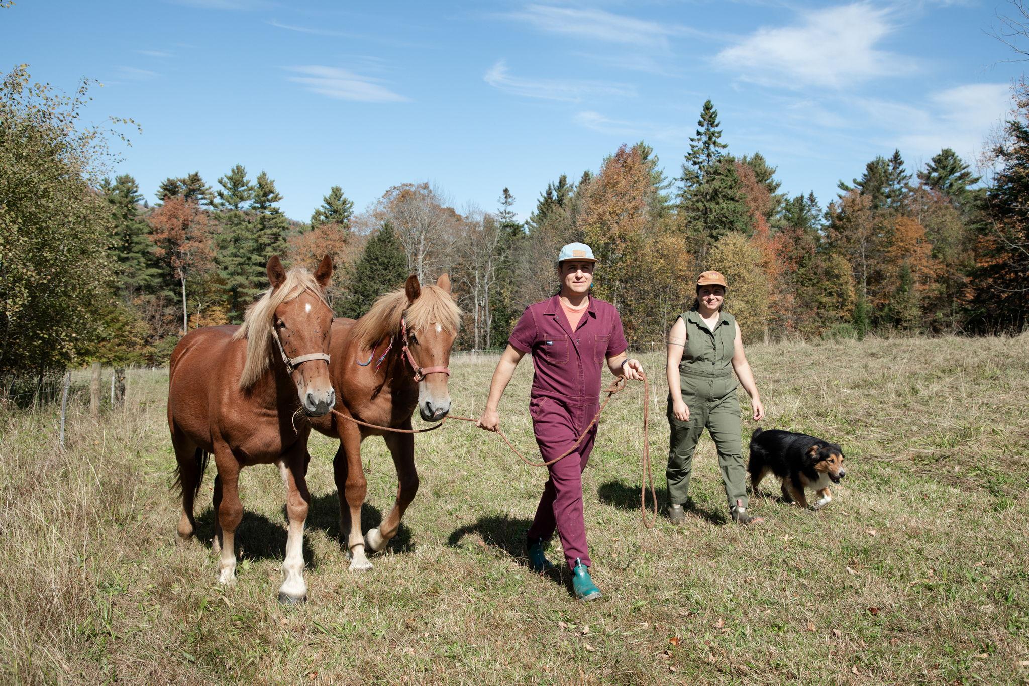 The Wedding Website of partnership (she/they) and A celebration of love, land (they/them)