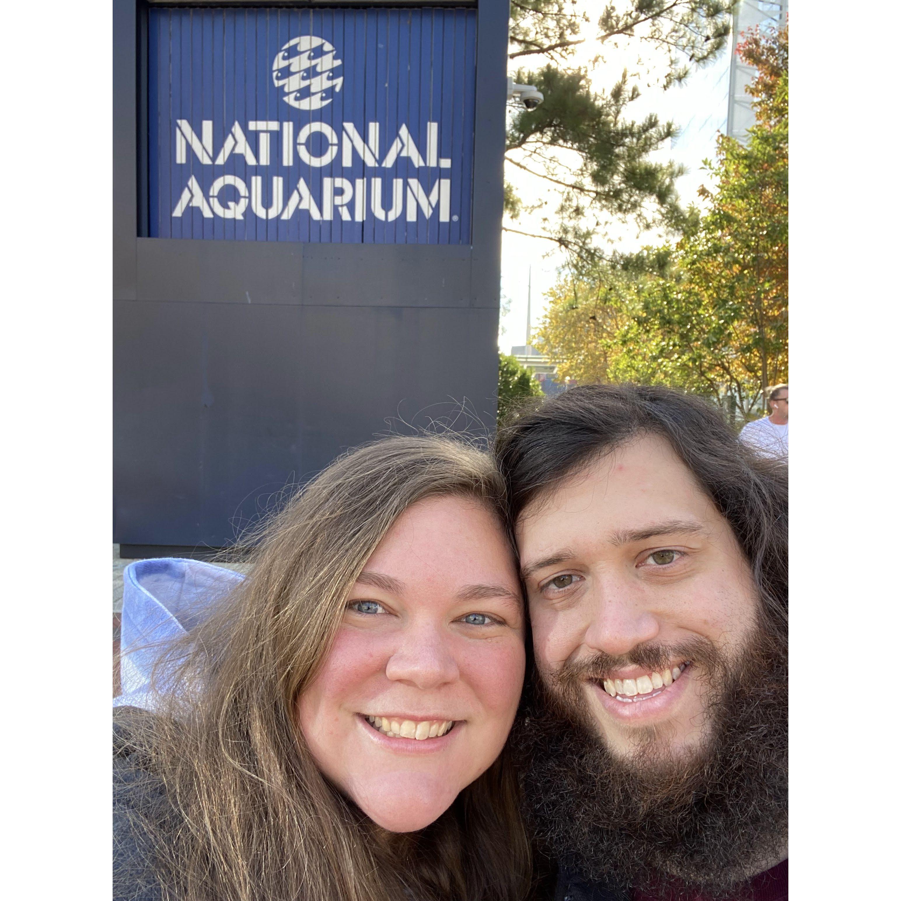 This was Ann's reward for agreeing to go to an underground metal show in Baltimore. Finally got to check the National Aquarium off our bucket list!