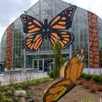 Krohn Conservatory