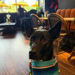 Kiki's Coffee & Spirits