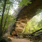 Natural Bridge State Resort Park