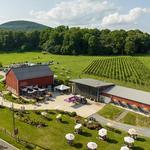 Sugarloaf Mountain Vineyard