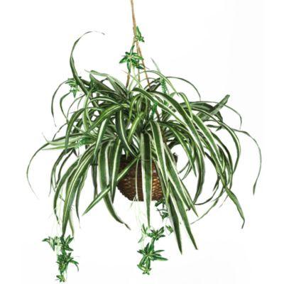 Nearly Natural 20-Inch Spider Silk Plant Hanging Basket