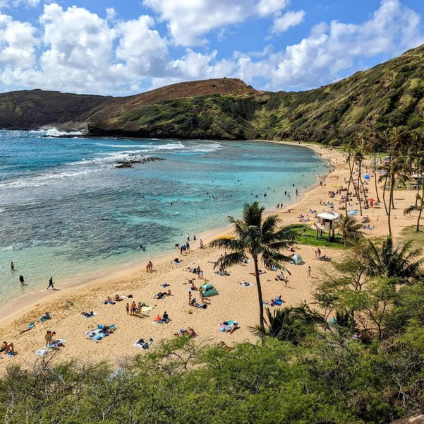 Hawaii Honeymoon