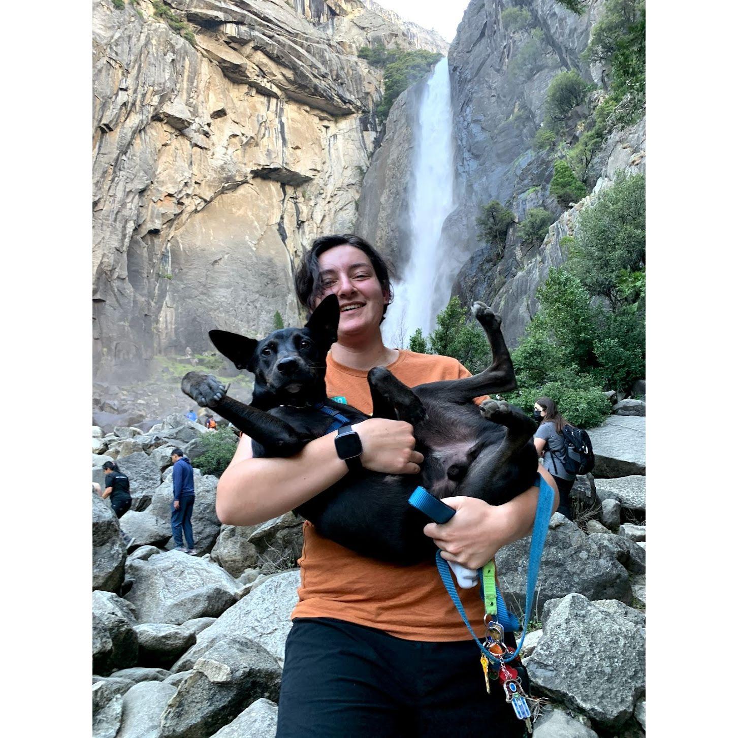All the gorgeous waterfalls while driving through California on our 5000 mile roadtrip.