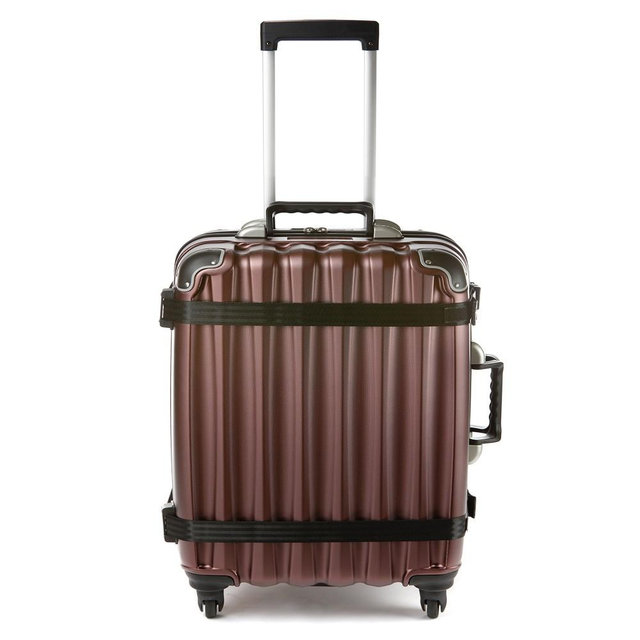 VinGardeValise Petite Wine Luggage, Burgundy