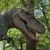 Heard Natural Science Museum & Wildlife Sanctuary