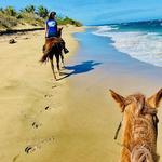 Tropical Trail Rides