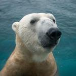 Columbus Zoo and Aquarium