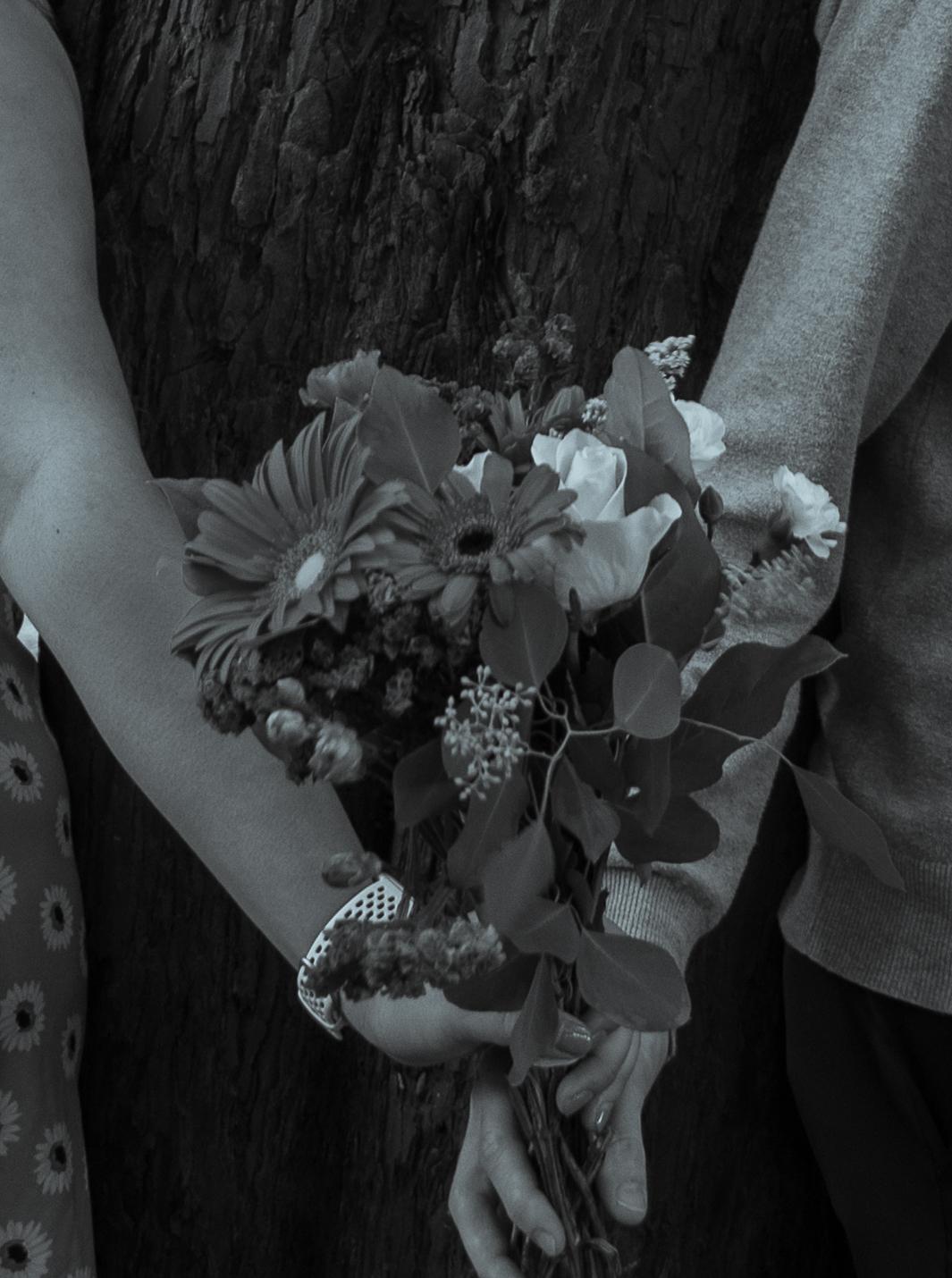 The Wedding Website of Rose Ross and Ryan Brownlie