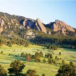 Other Local Favorites