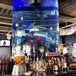 Dive Bar Restaurant