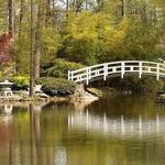 Duke Gardens