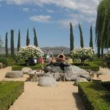 Ponte Winery & Restaurant