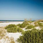 Fort De Soto Park