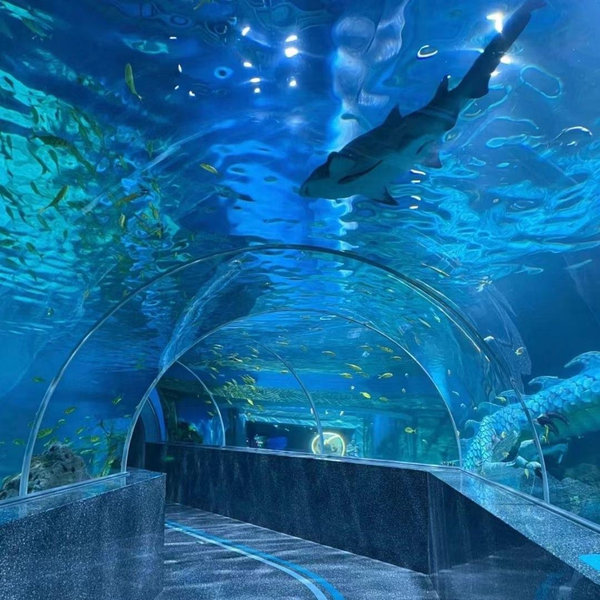 Tickets to the Zoo/Aquarium