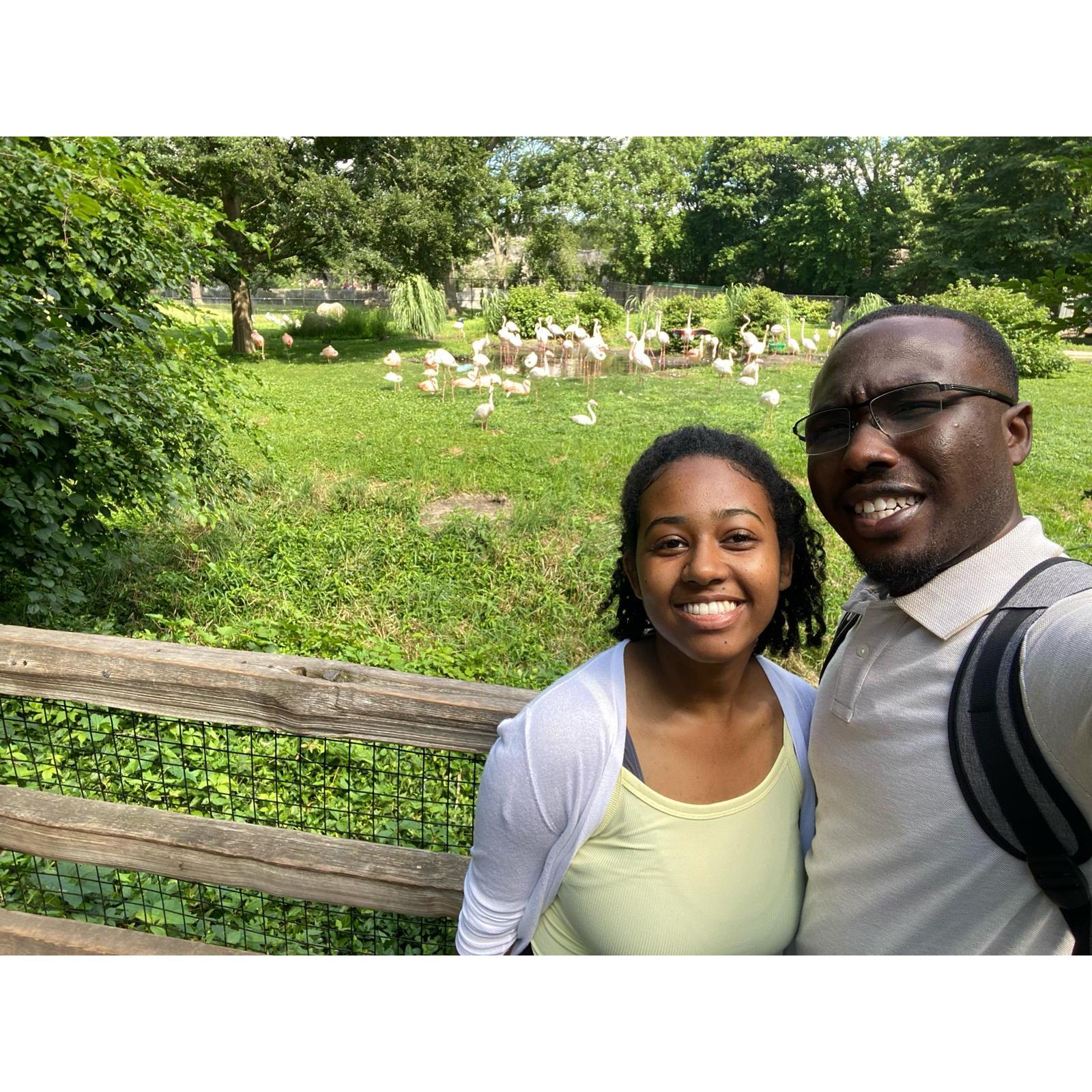 Zoo Date ❤️