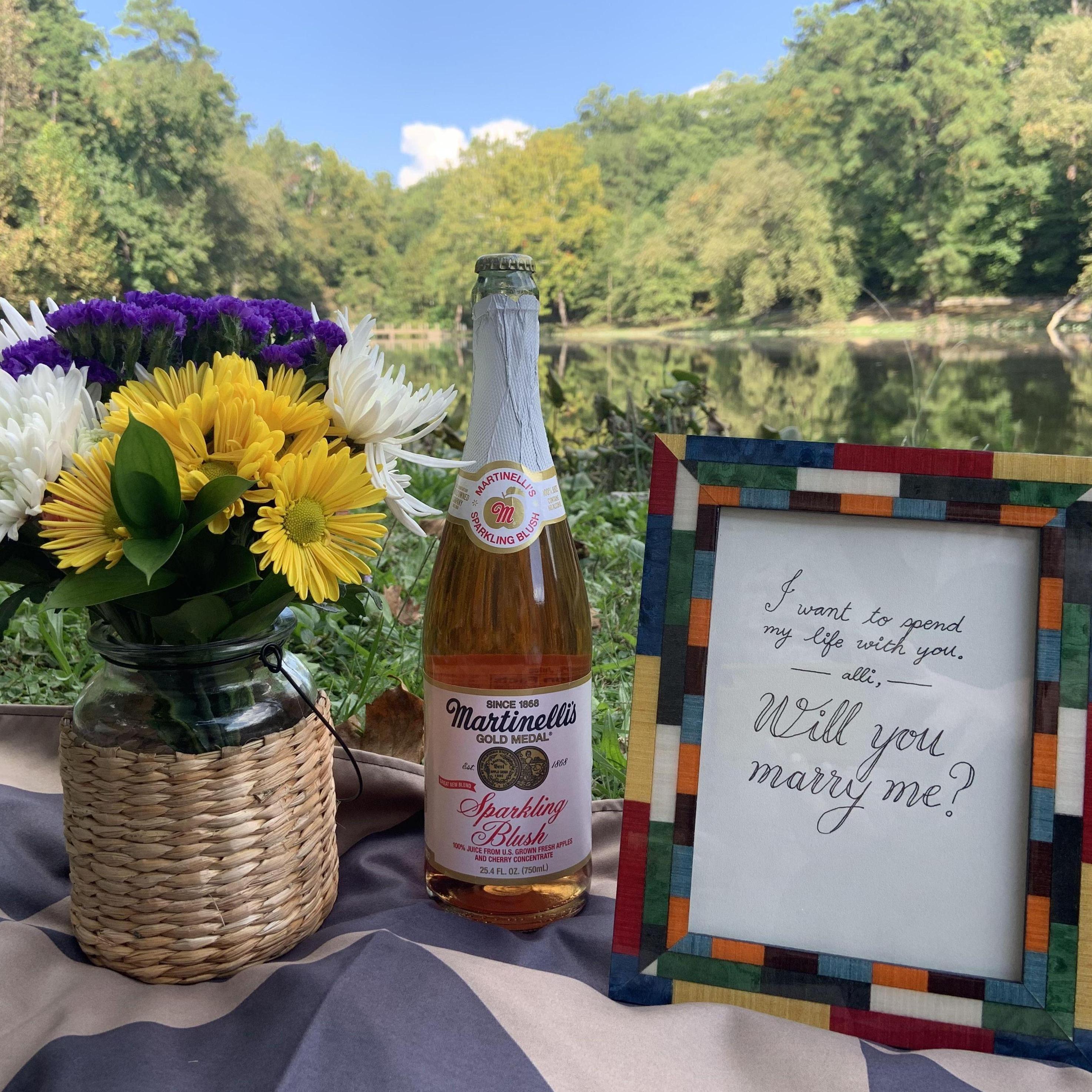 Pai's proposal to Alli with a beautiful picnic at Forest Hill Park
