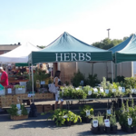 Leesburg Farmers Market