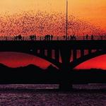 Congress Avenue Bridge