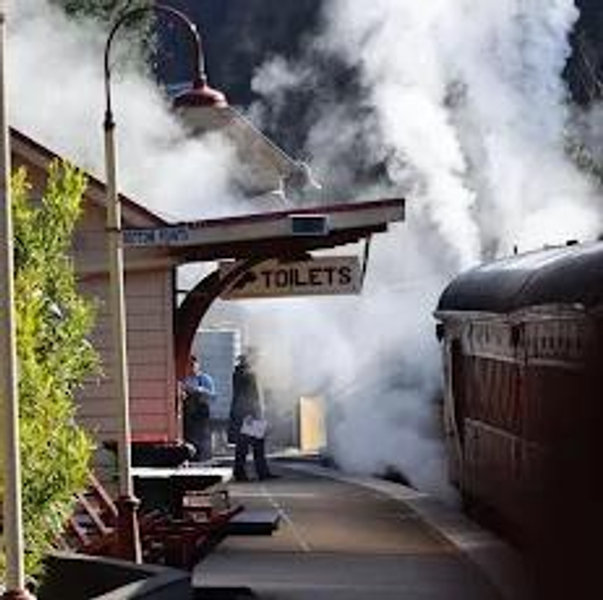 Train Passes to Blue Mountains