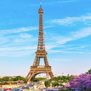 Honeymoon Adventure in Paris!