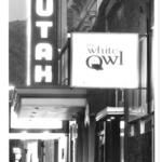 The Owl