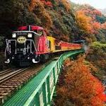 嵯峨野トロッコ列車(Sagano romantic train)