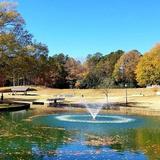 Freedom Park