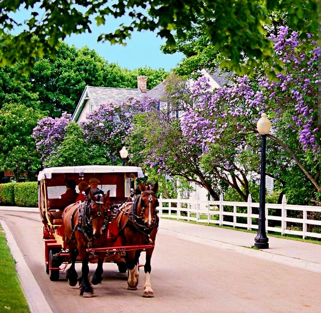 The Wedding Website of Gloria Faith and Dylan Thomas