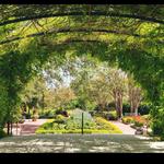 San Antonio Botanical Garden