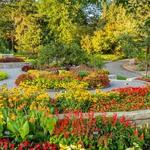 Minnesota Landscape Arboretum