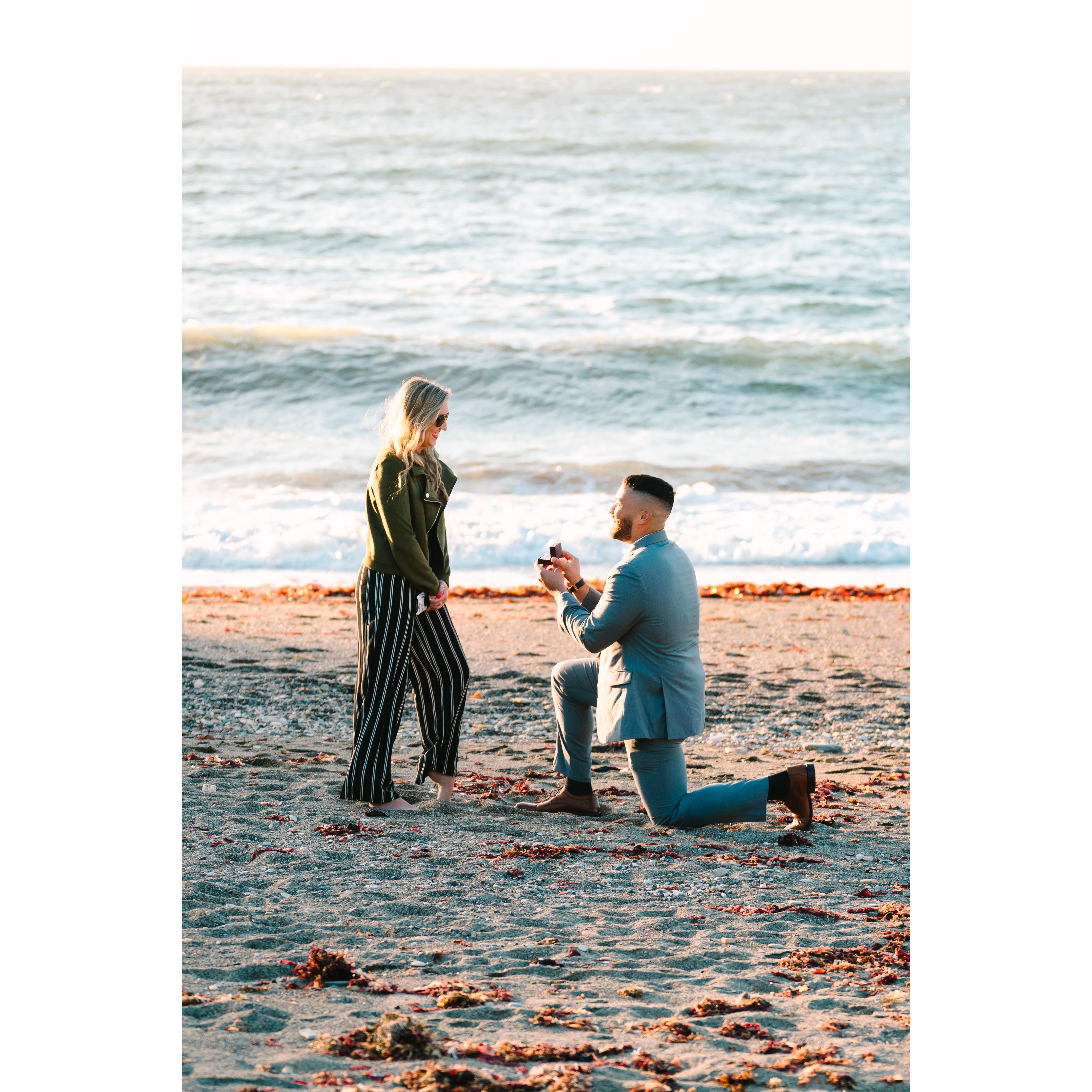The proposal