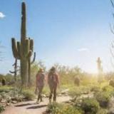 Gateway Trailhead (moderate)