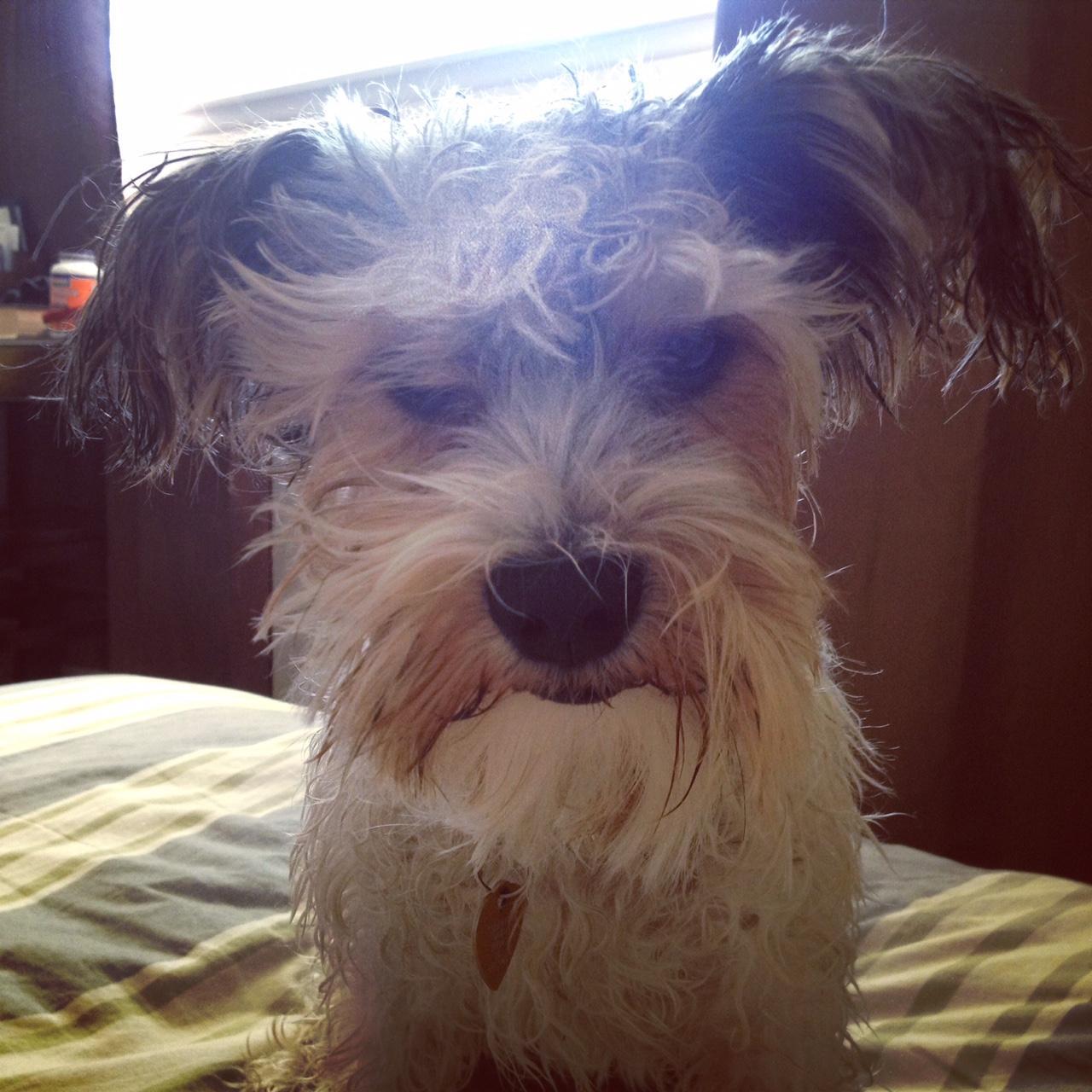 Even with all of the fun, Ender still has to get baths.