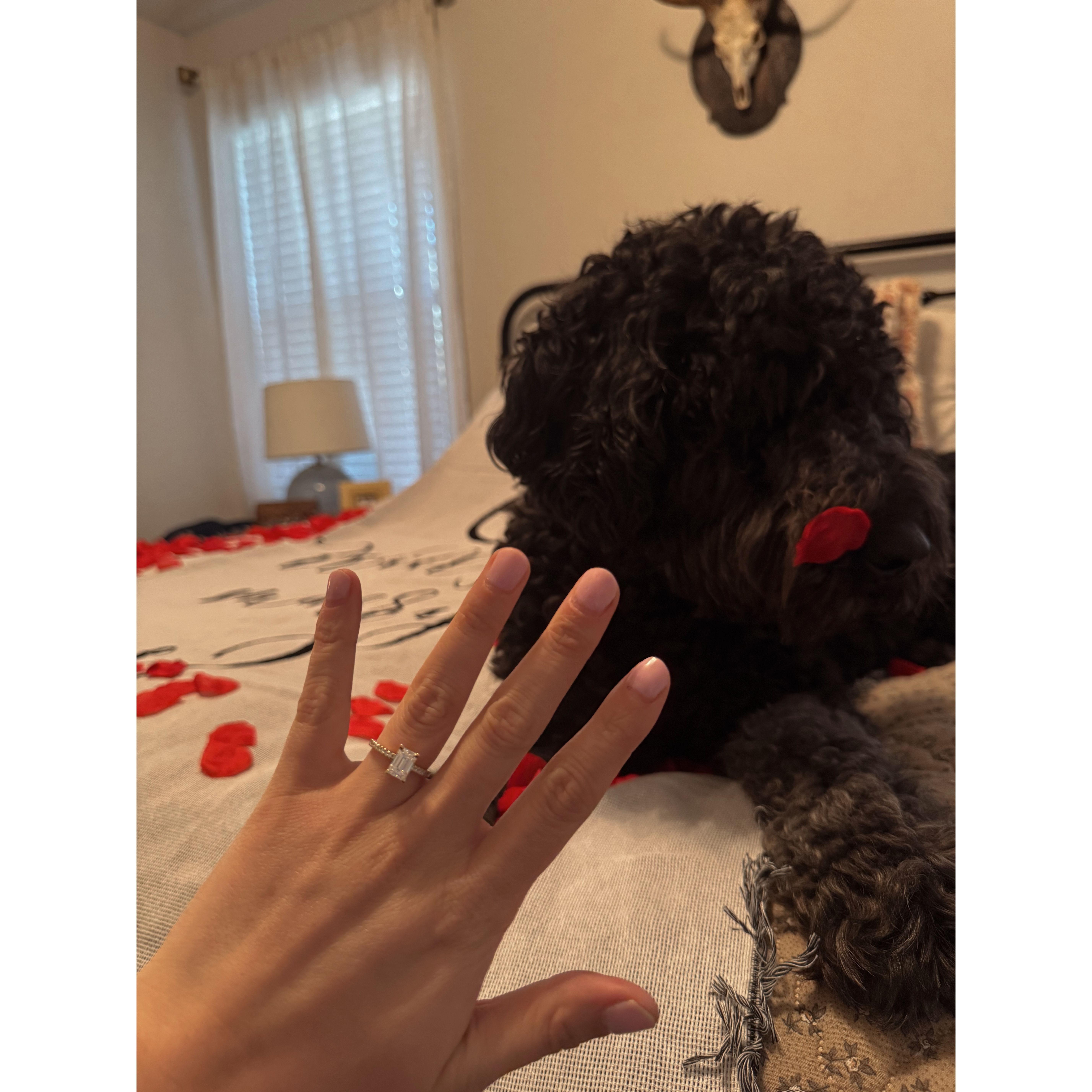 The Proposal!!!!!! <3