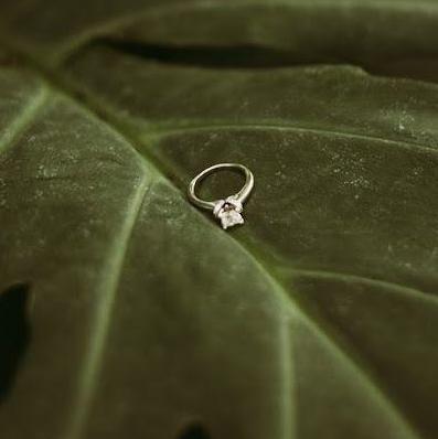 The ring!