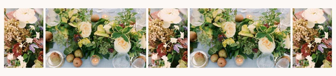 The Wedding Website of Julia Curley and Stephen Fitzgerald